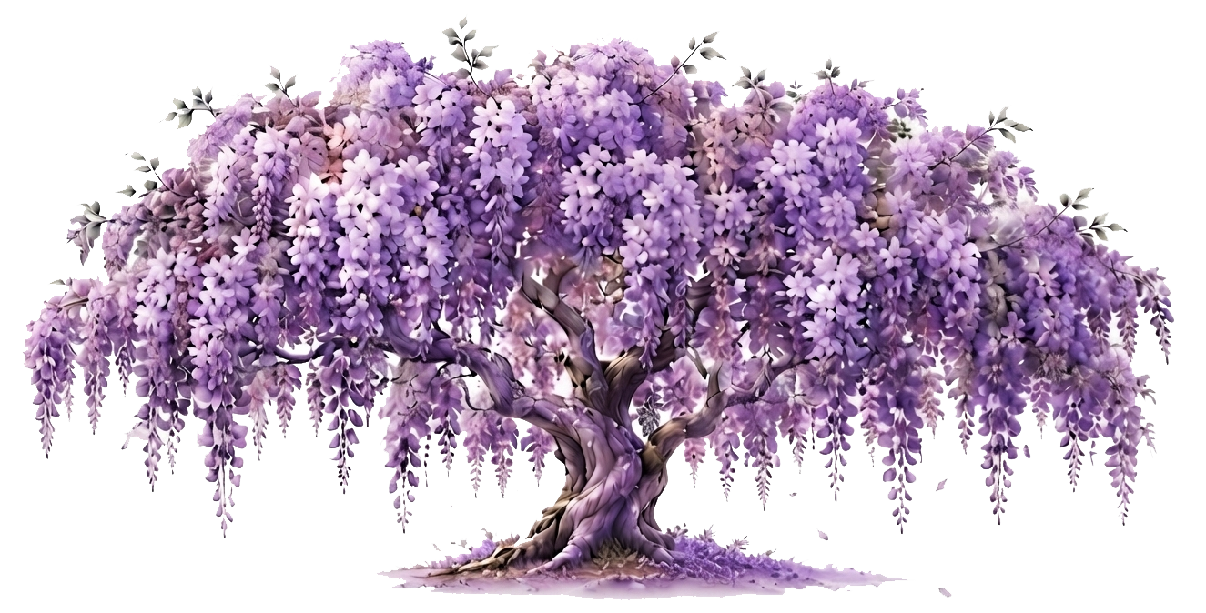 Wisteria Tree